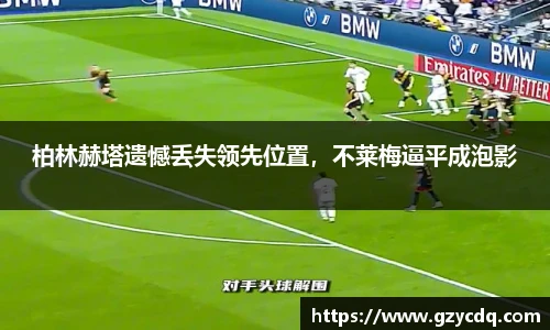 完美体育平台