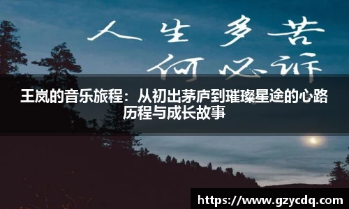 王岚的音乐旅程：从初出茅庐到璀璨星途的心路历程与成长故事
