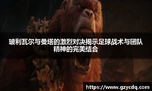 完美体育