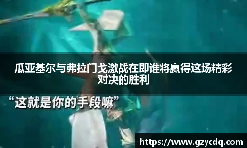 完美体育