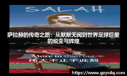 完美体育官方网站