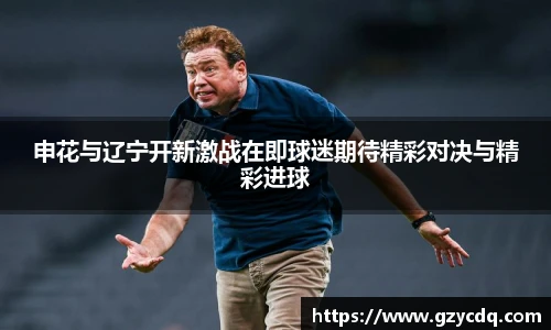 申花与辽宁开新激战在即球迷期待精彩对决与精彩进球